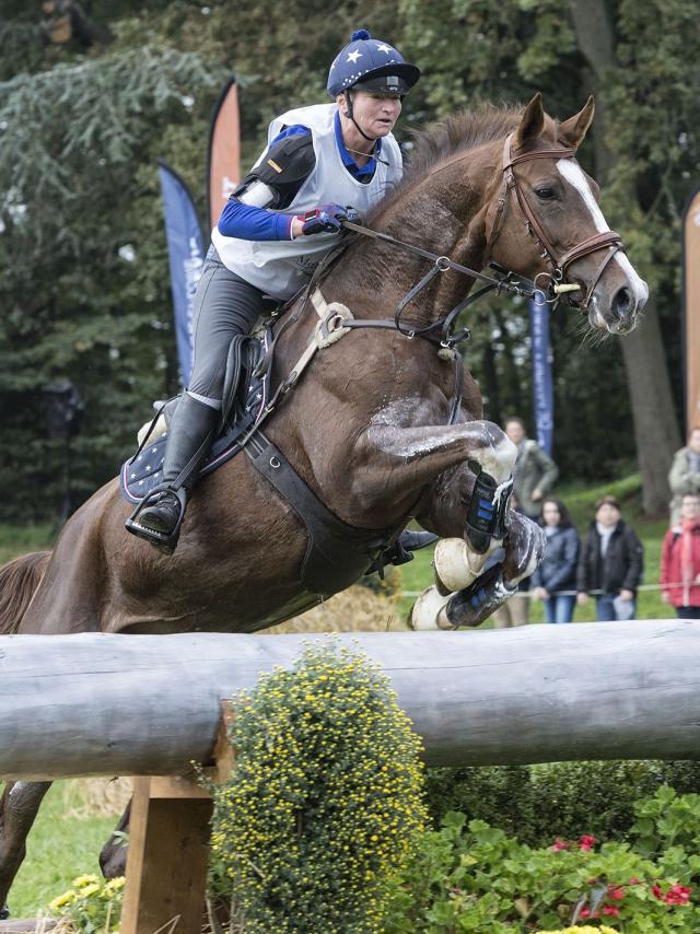 ©BERTRAND BECHARD17 OCTOBRE 2015.MONDIAL DU LION. EPREUVE DU CROSS.