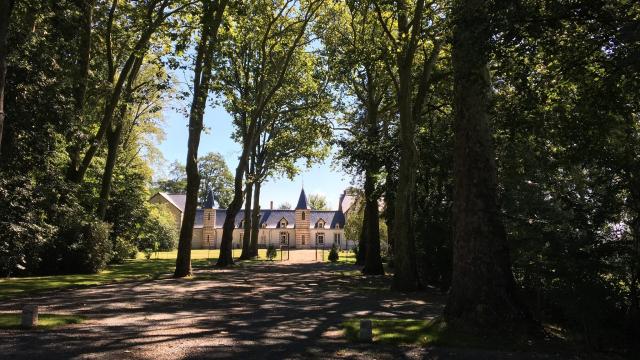 chateau-du-patys-chateau-du-patys.jpg