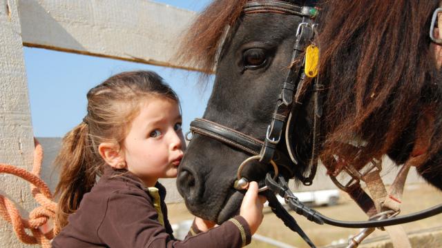 cheval-et-enfant-fotolia.jpg