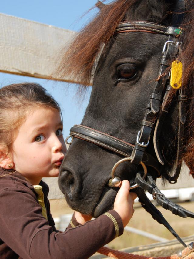 cheval-et-enfant-fotolia.jpg